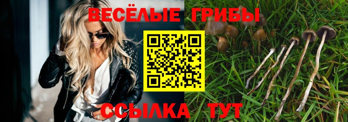 Галлюциногенные грибы Psilocybe  Вход с VPN  Барабинск 