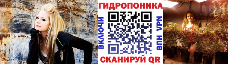 Бошки Шишки гибрид  Барабинск 